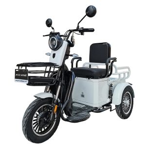 tricicleta electrica